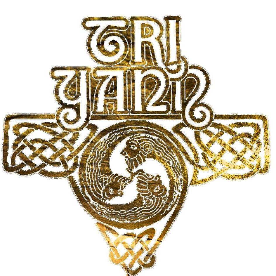 Tri Yann logo.jpg